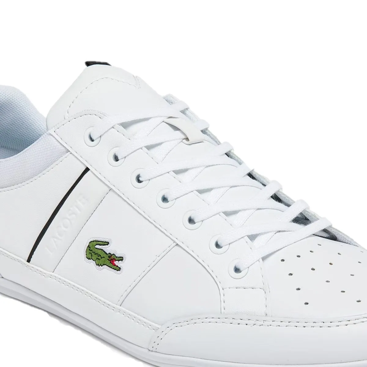 Chaymon 0121 Men's Lifestyle Shoes in White/Black