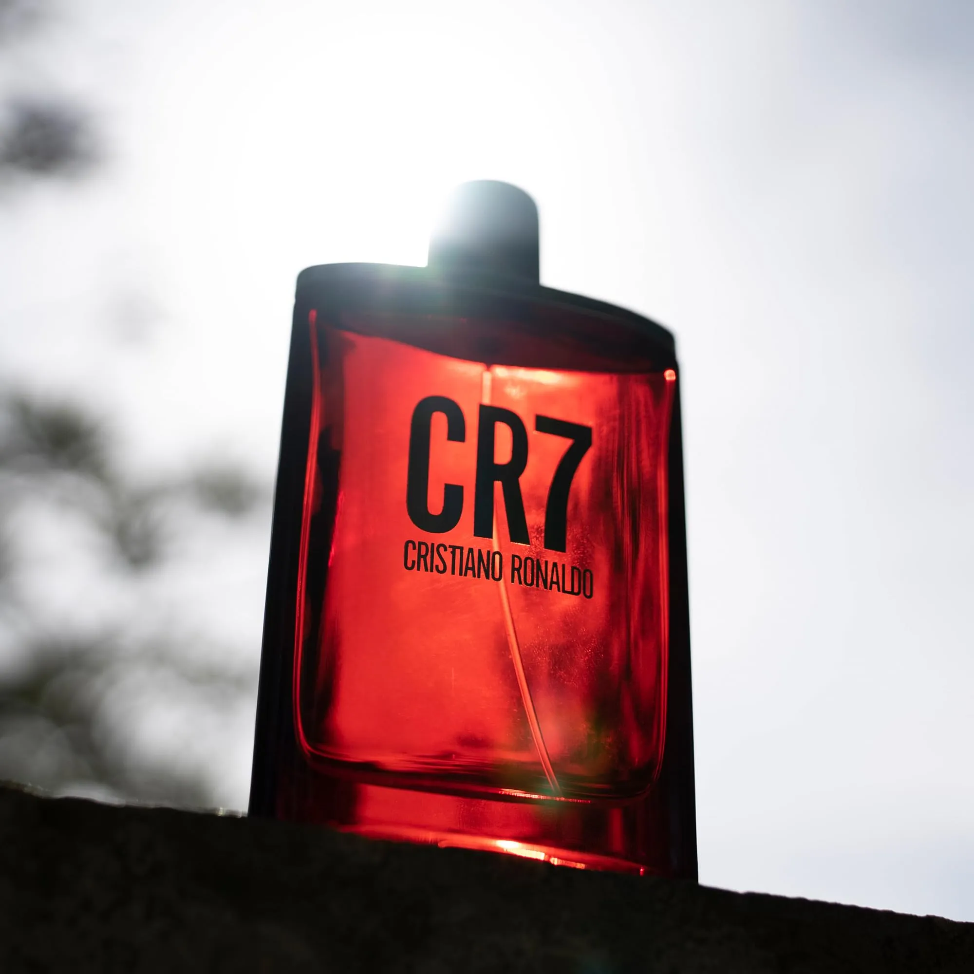 CRISTIANO RONALDO - Eau De Toilette Cologne- Woody, Musky Scent with Lavender, Cardamom, Tobacco, and Cedar - Original Men’s Fragrance Collection - 3.4 oz