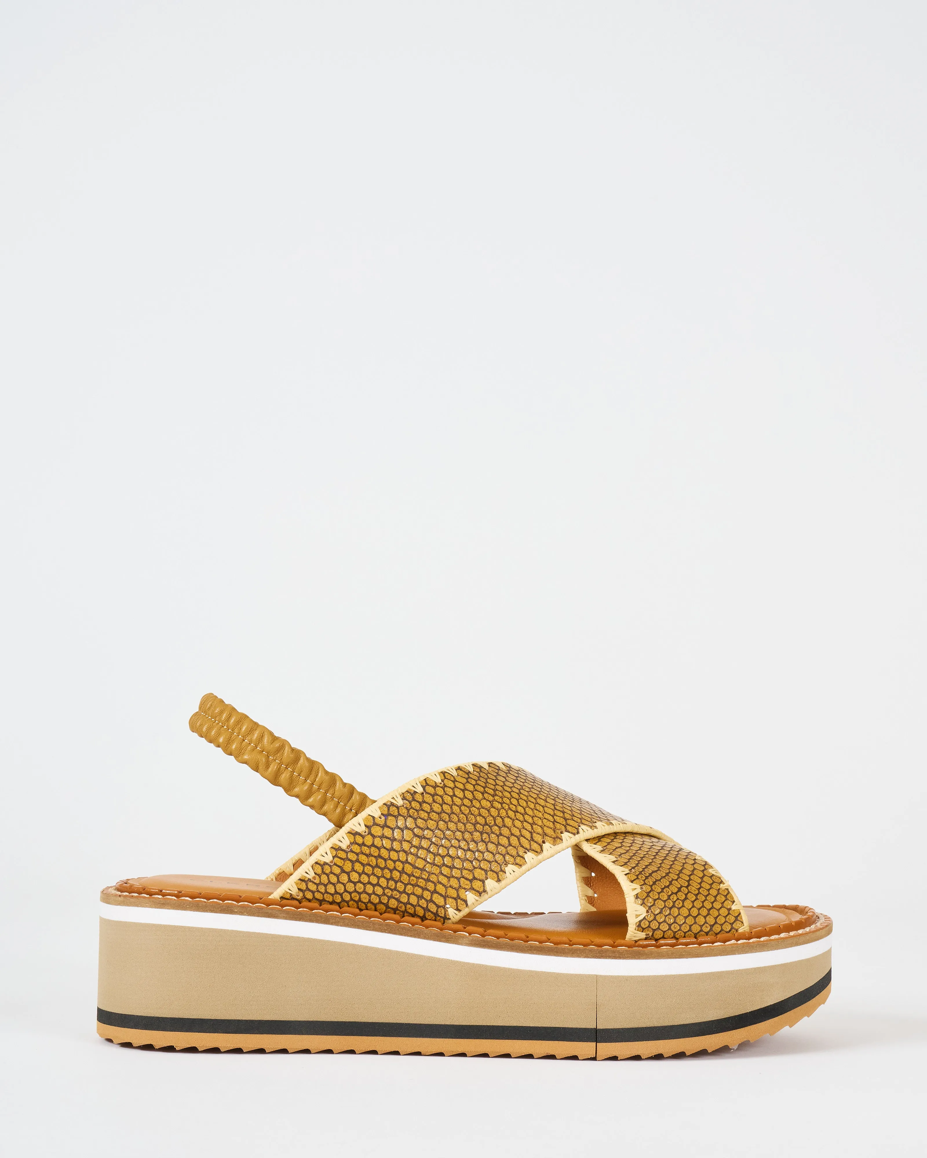 freedosr wedge