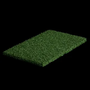 Silverback Play Green